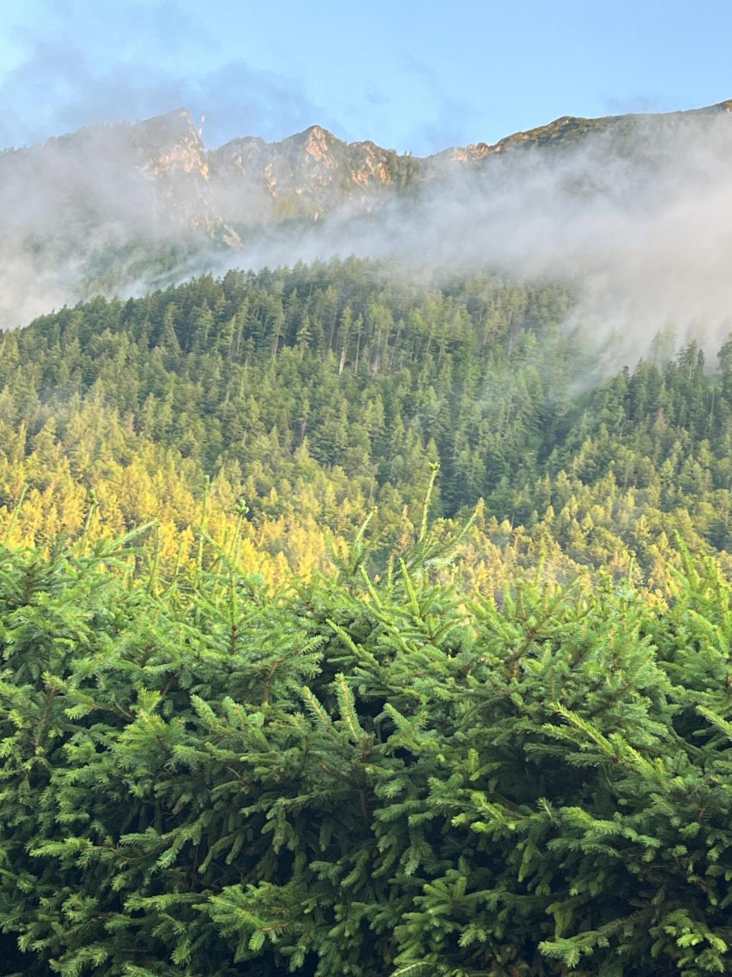 Haus Im Hochtal Lägenhet Bad Bleiberg Exteriör bild